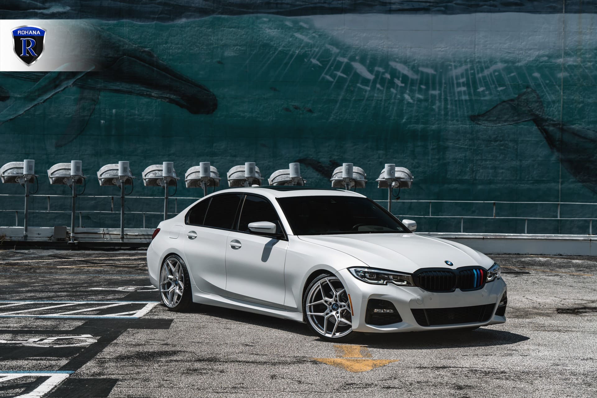 Rohana RFX11 Brushed Titanium