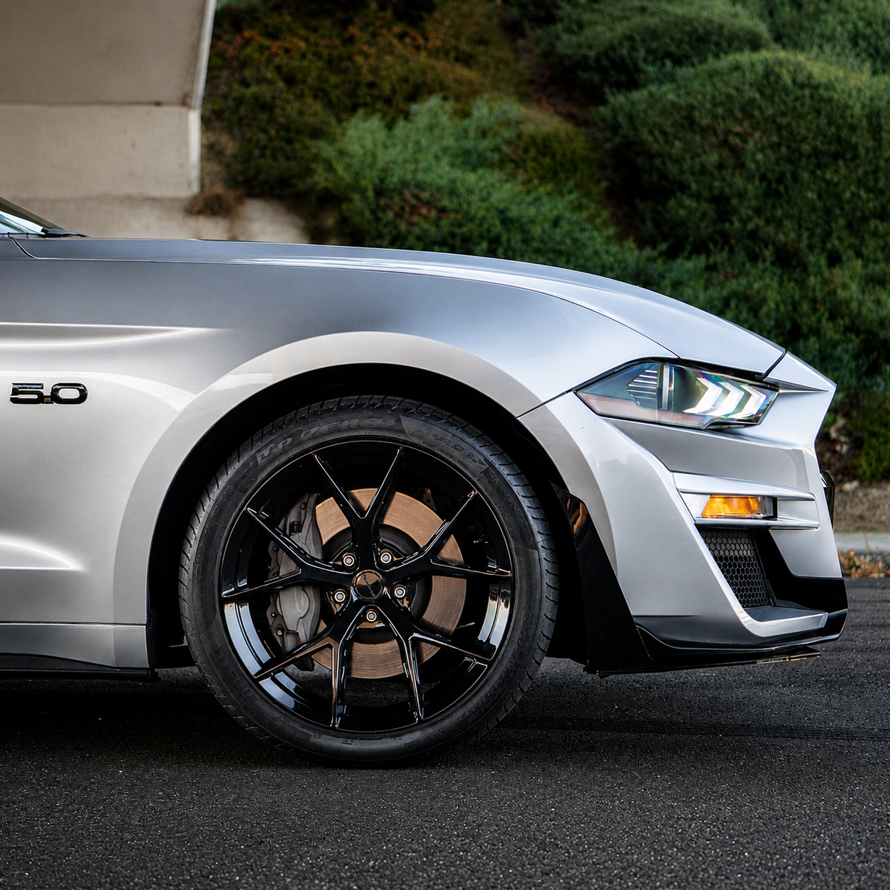 The Art of Stance: A Closer Look at the Stance SF14