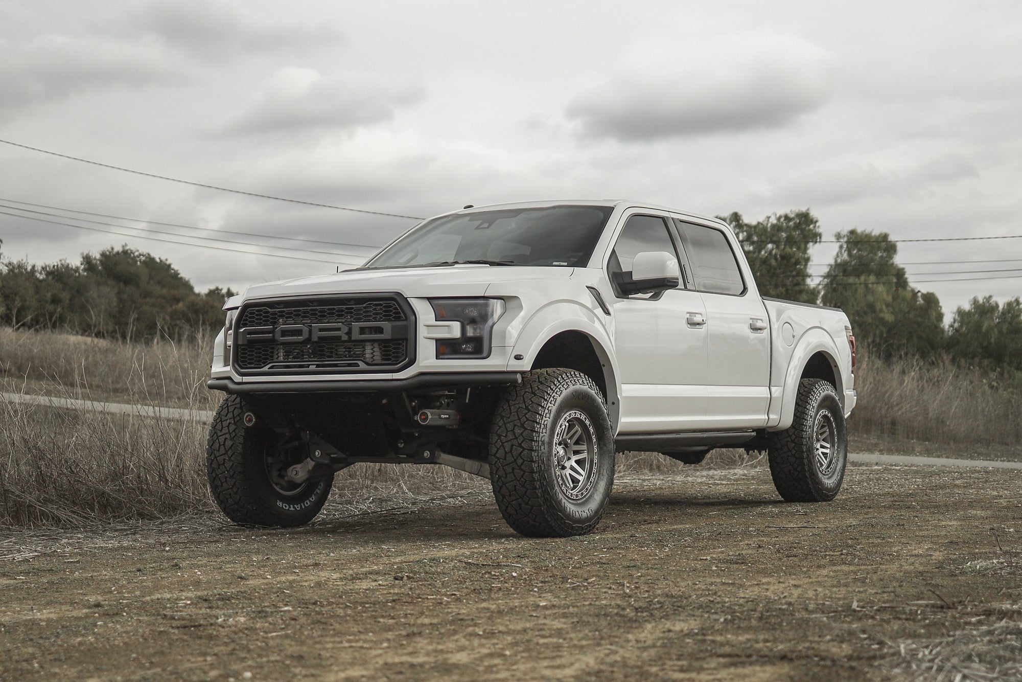 2019 Ford F150 Raptor with Fuel Off-Road Syndicate wheels in Platinum