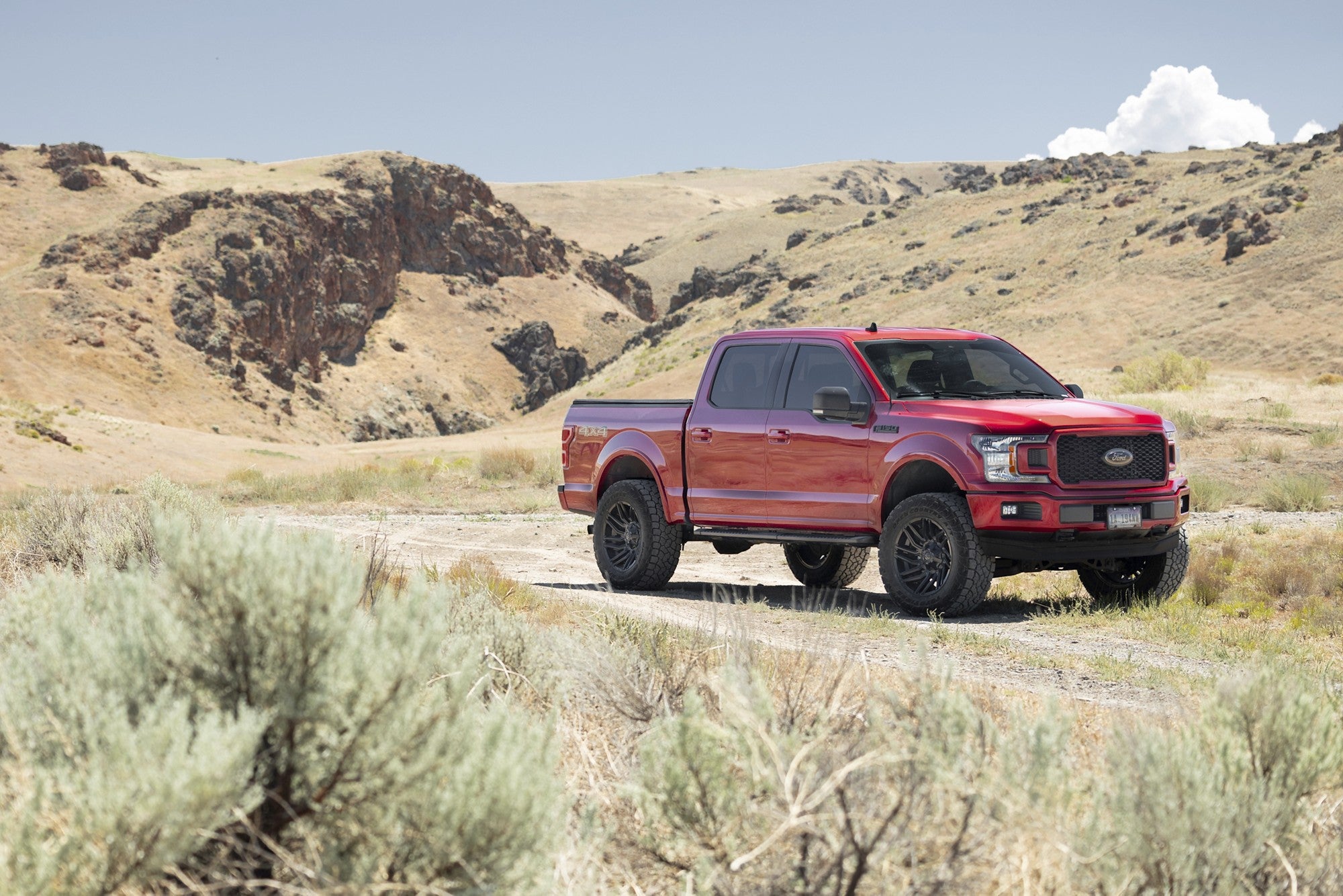 2019 Ford F150 with Fuel Off-Road Typhoon wheels in Matte Black