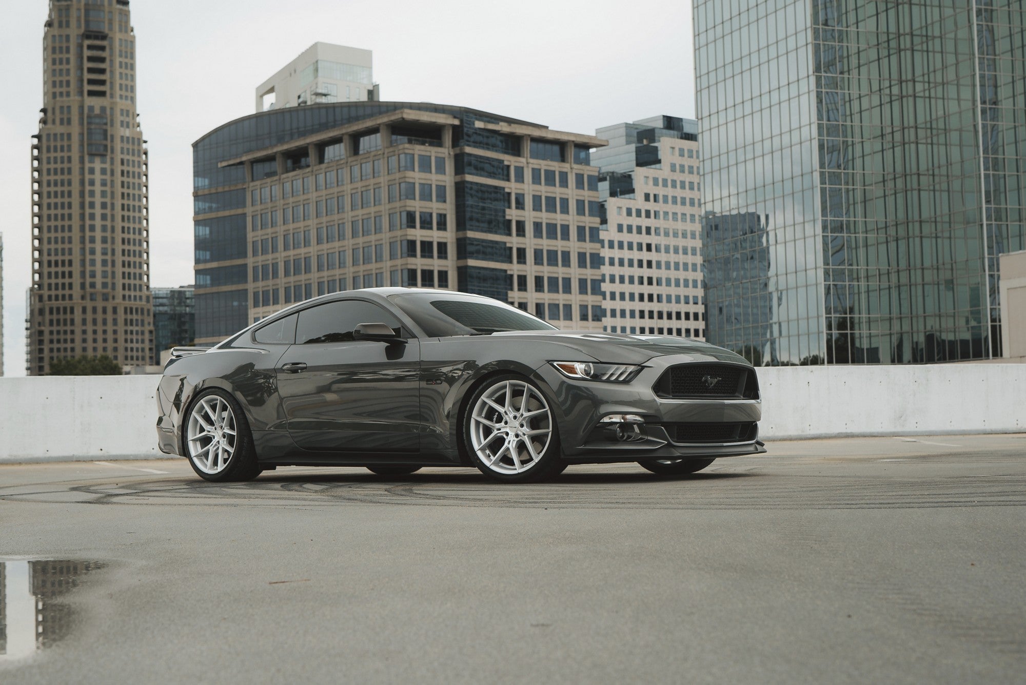 2015 Ford Mustang with Niche Prodigy 5 wheels in Silver w/ Machined Face