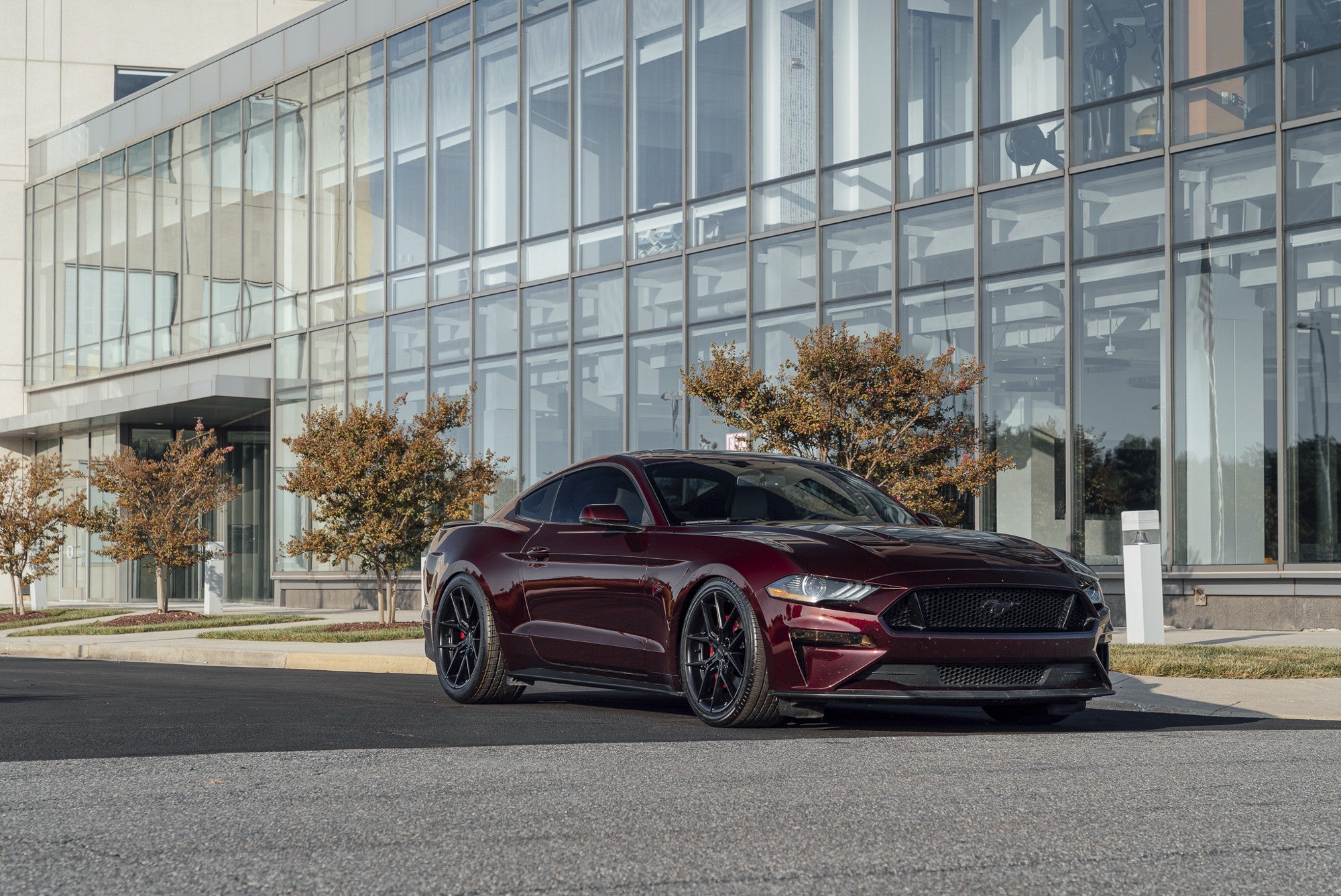 2018 Ford Mustang with Niche Prodigy 5 wheels in Matte Black