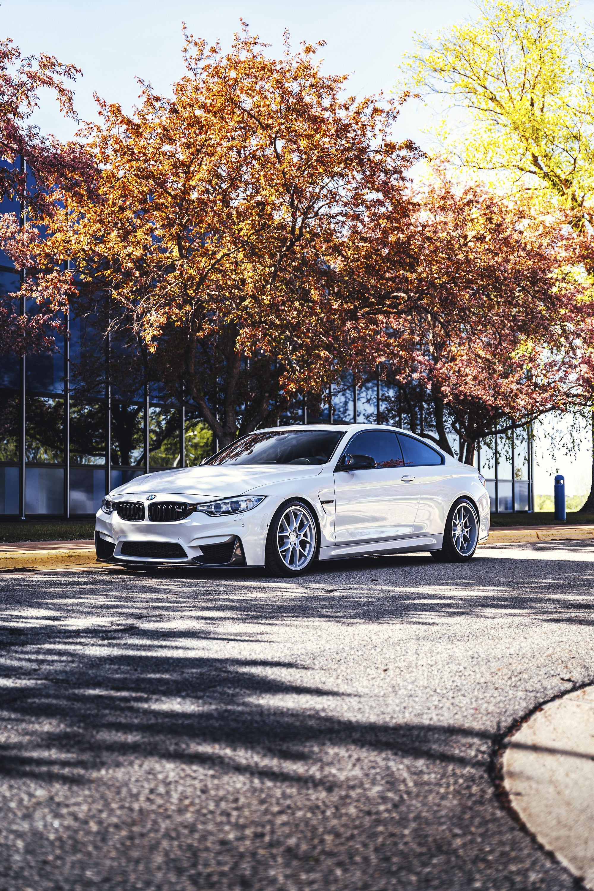 2015 BMW M4 with Rotiform LTN-J wheels in Matte Silver
