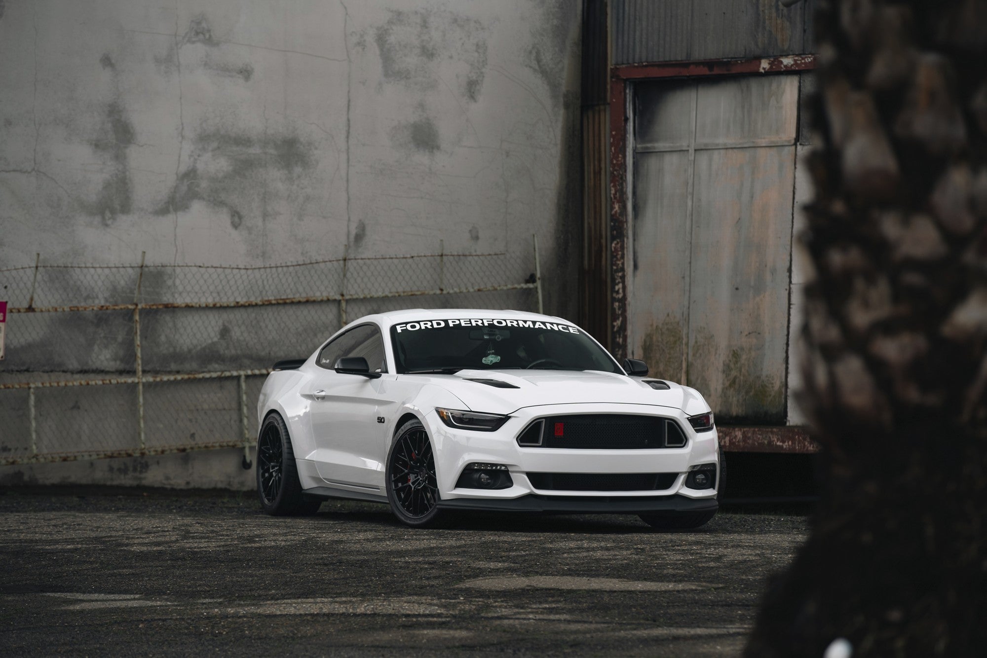 2018 Ford Mustang with TSW Daytona wheels in Gloss Black