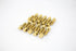 Aodhan Lug Bolts LB55 Gold